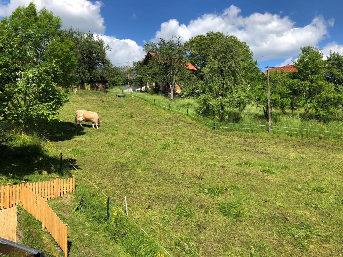 Ferienwohnung Fam. Unterberger Bad Goisern Buitenkant foto
